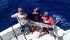 Sailfish Ron2.jpg